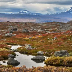 Fjällandskap i höstfärger med en bäck som slingrar sig genom sten och ljung. Serkan Gunes fångar den dramatiska skönheten.
