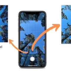 Jämförelse av vidvinkel iPhone-bilder: en ultravidvinkelbild visar mer av skogen mot en blå himmel, medan standardbilden fokuserar mer på en enskild trädstam.