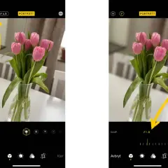 Två iPhone-skärmar visar en bukett tulpaner. Den vänstra visar f/4.5, den högra f/1.8, vilket ger en mer suddig bakgrund på bilder iPhone.