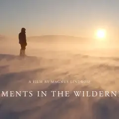 En ensam person står i snöstormen, en film av Magnus Lindbom. Solen går ner över ett öde landskap.