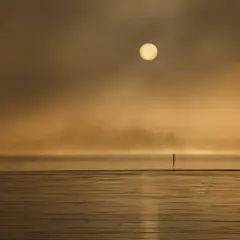 Soluppgång över en dimmig sjö. Den gyllene solen lyser genom diset. Vad betyder komposition? Här ser vi hur horisonten och de två stolparna skapar en balanserad bild.
