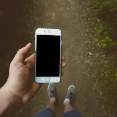 En hand håller en iPhone för att skanna bilder på en skogsstig.