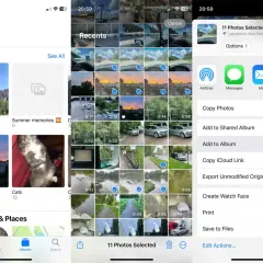 iPhone bilder: 11 bilder valda för delning. Välj mellan AirDrop, meddelanden, e-post eller Telegram.