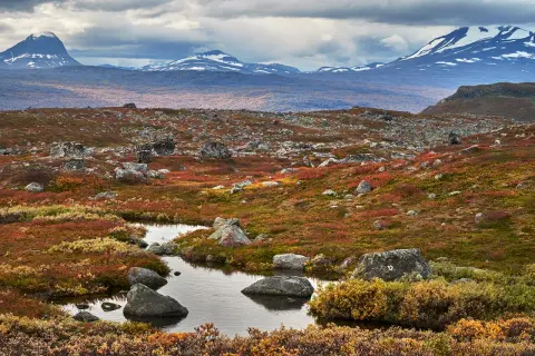 Fjällandskap i höstfärger med en bäck som slingrar sig genom sten och ljung. Serkan Gunes fångar den dramatiska skönheten.