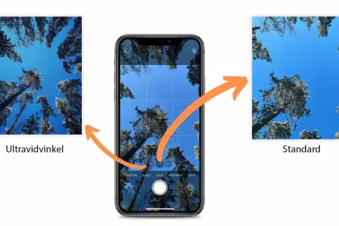 Jämförelse av vidvinkel iPhone-bilder: en ultravidvinkelbild visar mer av skogen mot en blå himmel, medan standardbilden fokuserar mer på en enskild trädstam.
