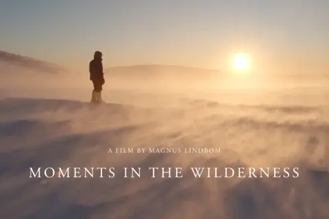 En ensam person står i snöstormen, en film av Magnus Lindbom. Solen går ner över ett öde landskap.
