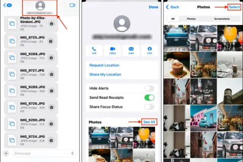 iPhone-skärm visar en konversation med filer och bilder. Välj "Se alla" för att visa fler bilder, som kan hjälpa dig att blurra bilder iPhone.
