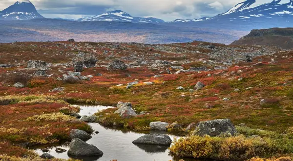Fjällandskap i höstfärger med en bäck som slingrar sig genom sten och ljung. Serkan Gunes fångar den dramatiska skönheten.