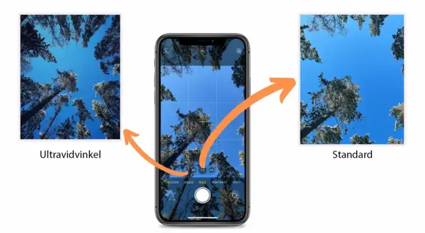 Jämförelse av vidvinkel iPhone-bilder: en ultravidvinkelbild visar mer av skogen mot en blå himmel, medan standardbilden fokuserar mer på en enskild trädstam.