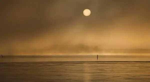 Soluppgång över en dimmig sjö. Den gyllene solen lyser genom diset. Vad betyder komposition? Här ser vi hur horisonten och de två stolparna skapar en balanserad bild.