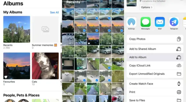 iPhone bilder: 11 bilder valda för delning. Välj mellan AirDrop, meddelanden, e-post eller Telegram.