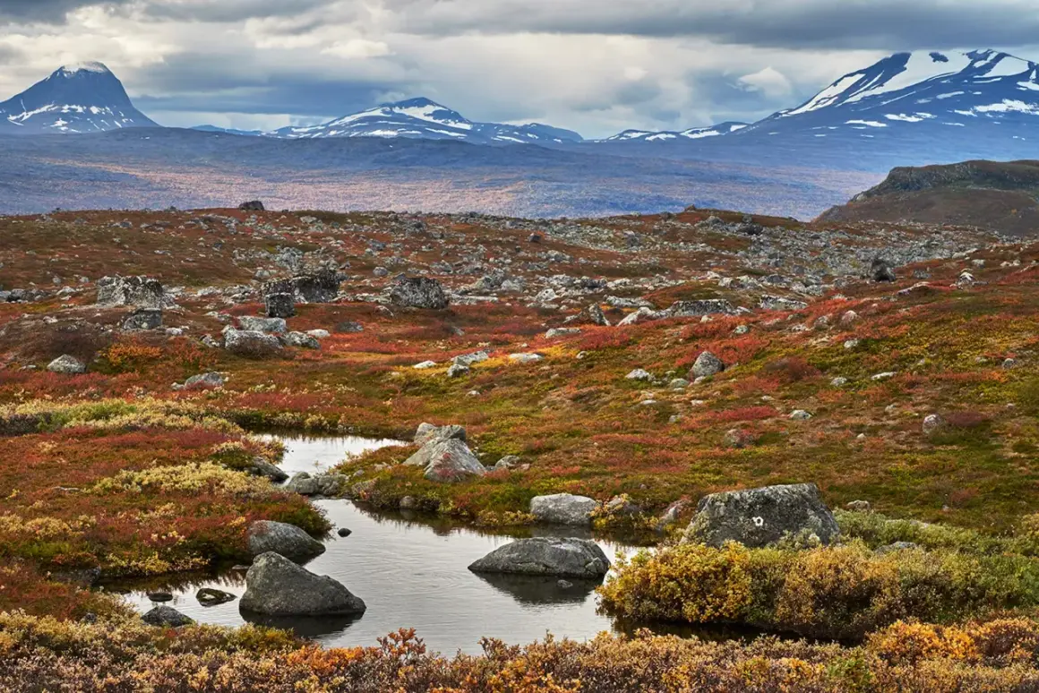Fjällandskap i höstfärger med en bäck som slingrar sig genom sten och ljung. Serkan Gunes fångar den dramatiska skönheten.