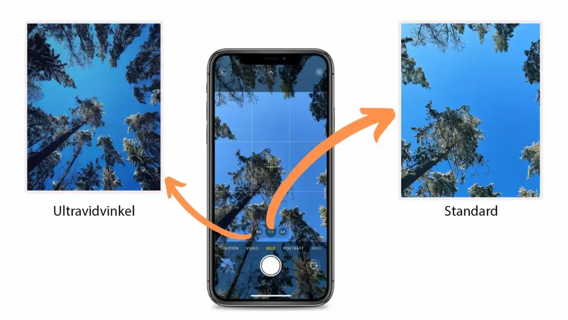 Jämförelse av vidvinkel iPhone-bilder: en ultravidvinkelbild visar mer av skogen mot en blå himmel, medan standardbilden fokuserar mer på en enskild trädstam.