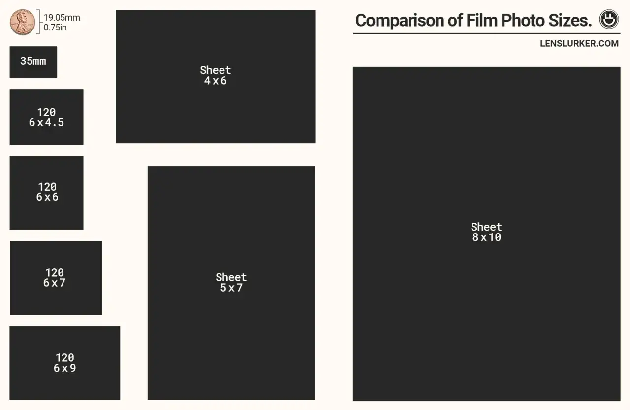 J&auml;mf&ouml;relse av filmformat. Visar 35mm, 120 (6x4.5, 6x6, 6x7, 6x9) och ark (4x6, 5x7, 8x10).