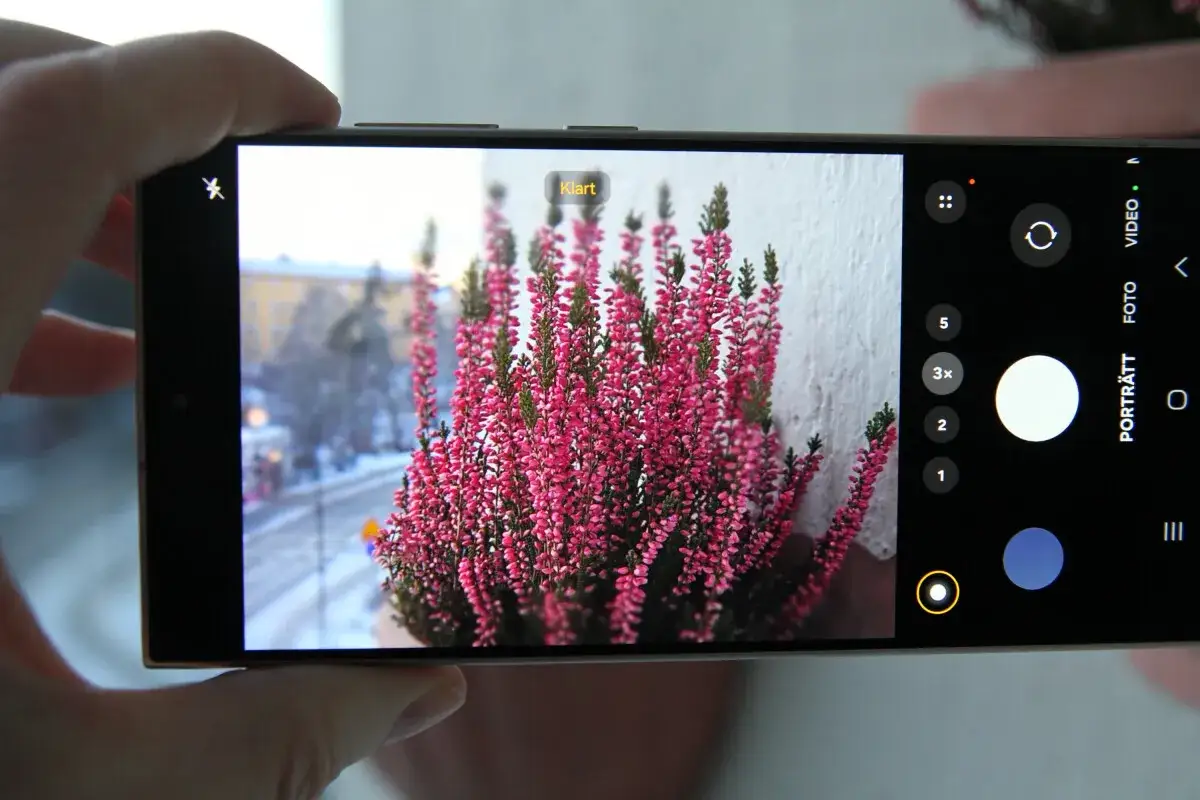 Samsung S22 test: en mobil som fångar detaljer i en blomkruka med rosa ljung.