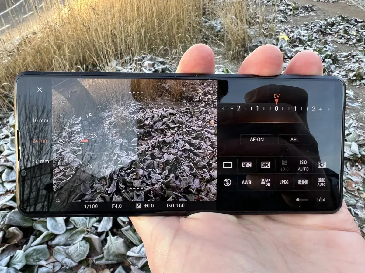 Sony Xperia Pro-I i handen, visar kamerainställningar för frostiga löv. Zoomar in på 24mm.