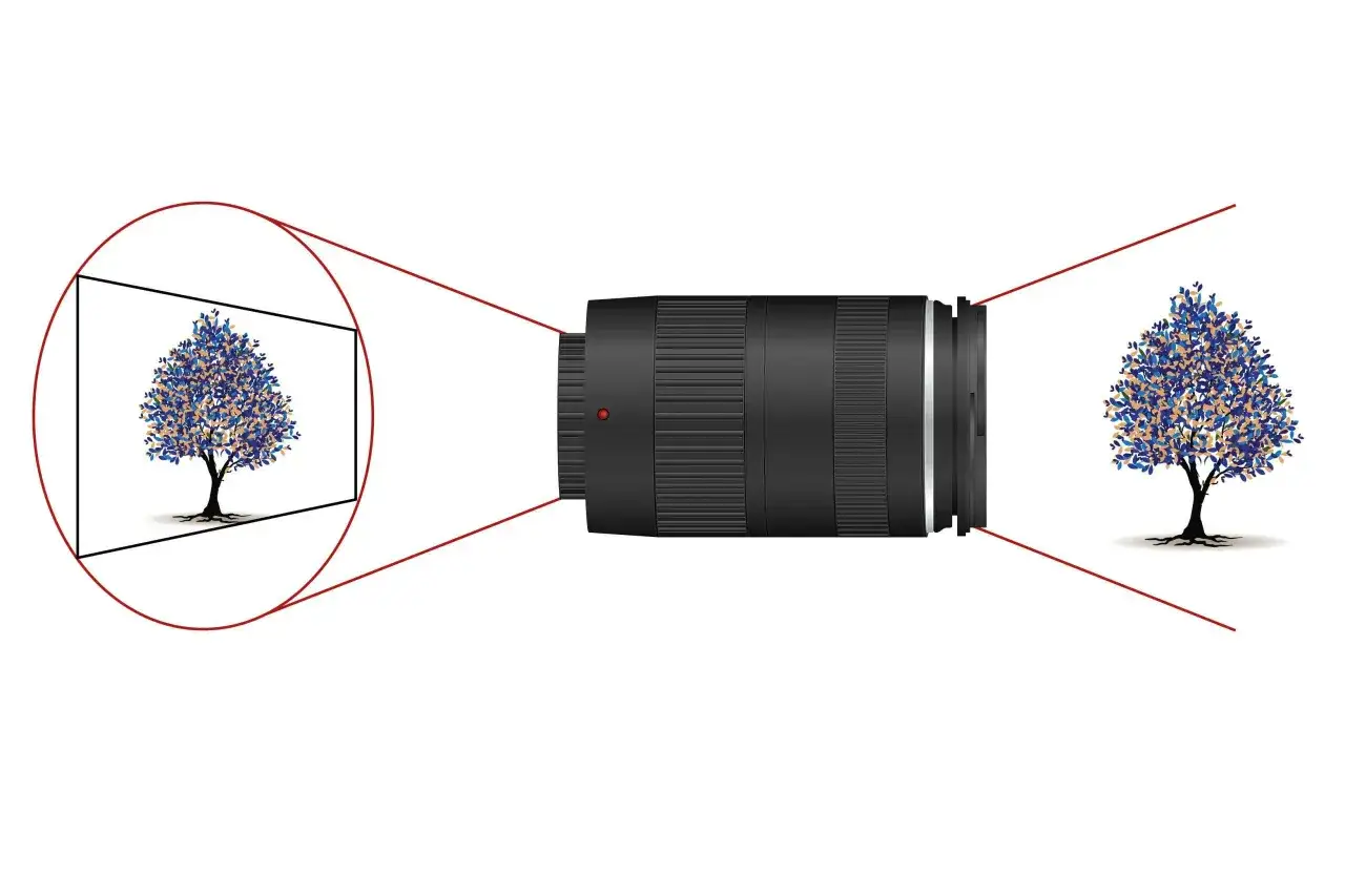 En lins som projicerar en bild av ett träd. En inzoomad vy visar hur bilden fångas, likt en rolling shutter som sveper över scenen.