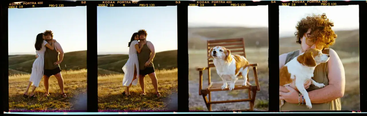 En kvinna kysser en man i ett f&auml;lt. En hund sitter p&aring; en stol och en annan hund h&aring;lls i famnen. En digital motsats till analog film.