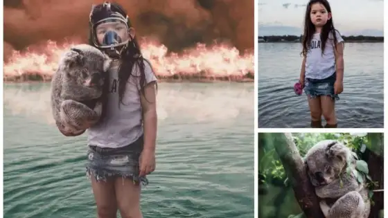 Fake bilder - Så avslöjar du manipulerade foton