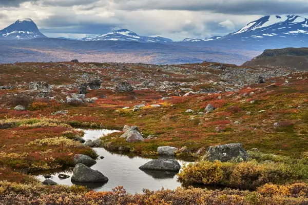 Fjällandskap i höstfärger med en bäck som slingrar sig genom sten och ljung. Serkan Gunes fångar den dramatiska skönheten.