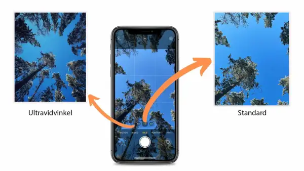 Jämförelse av vidvinkel iPhone-bilder: en ultravidvinkelbild visar mer av skogen mot en blå himmel, medan standardbilden fokuserar mer på en enskild trädstam.