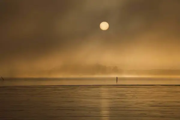 Soluppgång över en dimmig sjö. Den gyllene solen lyser genom diset. Vad betyder komposition? Här ser vi hur horisonten och de två stolparna skapar en balanserad bild.